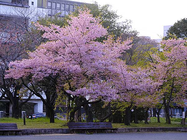 日本‧名古屋(十三)‧名古屋主稅町(Nagoya XIII)