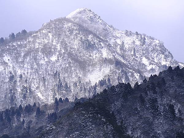 日本‧御在所岳的樹冰(Mount Gozaisho)