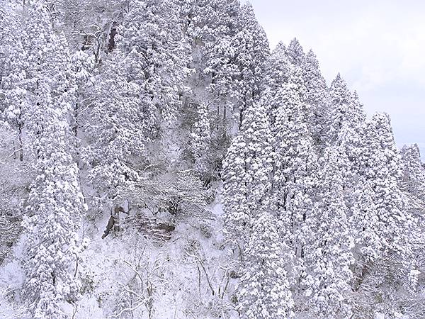 日本‧御在所岳的樹冰(Mount Gozaisho)