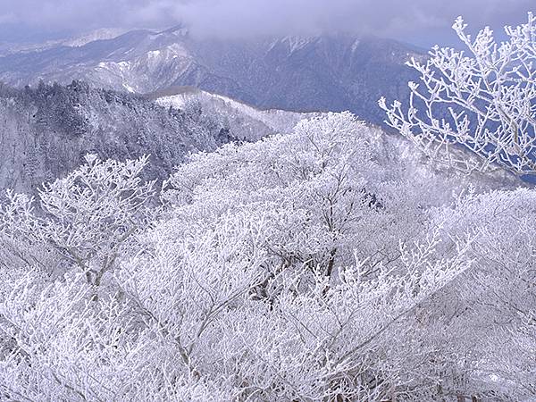 日本‧御在所岳的樹冰(Mount Gozaisho)