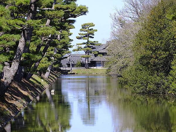 日本‧大阪‧大仙公園(Osaka Daisen Park)