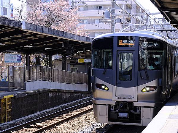 日本‧大阪‧大仙公園(Osaka Daisen Park)