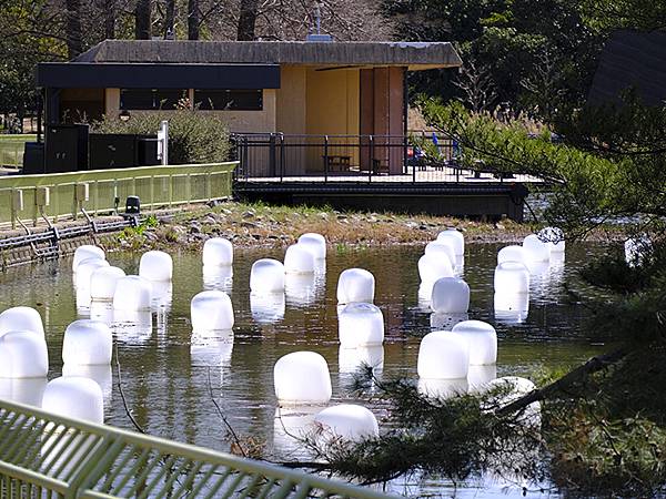 日本‧大阪‧長居植物園(Osaka Nagai Botani