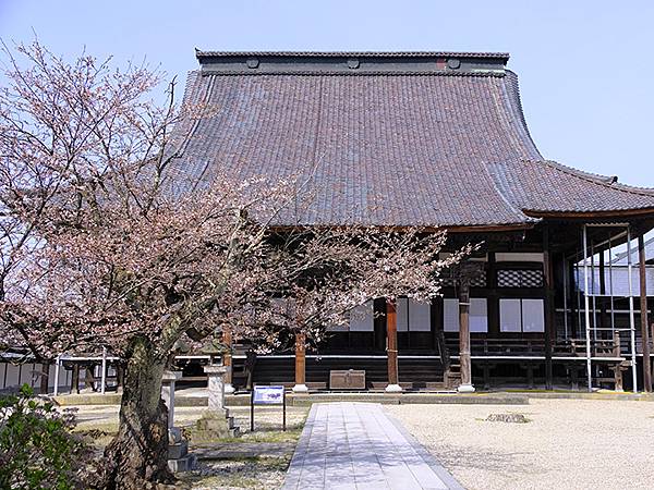 日本‧福井(十六)‧賞櫻(三)‧鯖江(Fukui XIV)