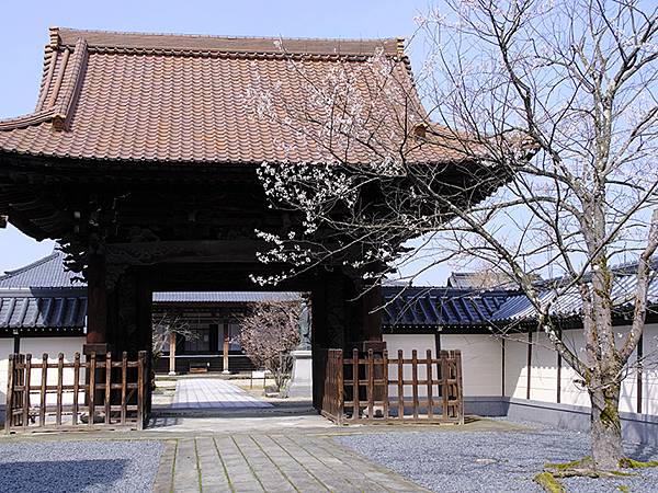 日本‧福井(十六)‧賞櫻(三)‧鯖江(Fukui XIV)