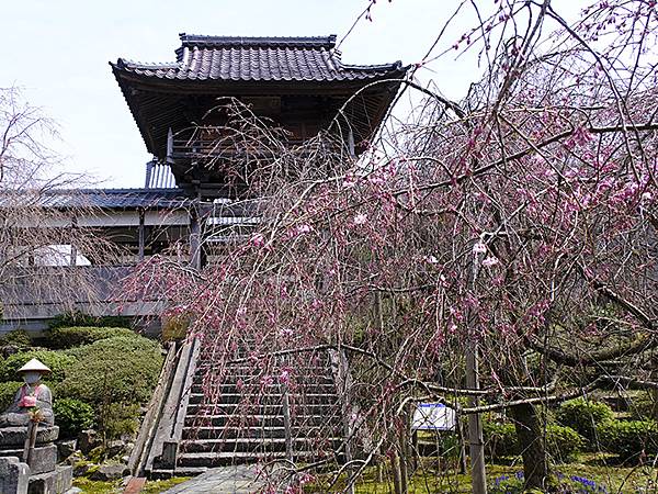日本‧福井(十六)‧賞櫻(三)‧鯖江(Fukui XIV)