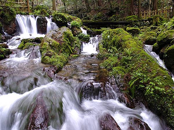 日本‧福井(二十)‧賞櫻(七)‧瓜割之瀧到小浜(Fukui 