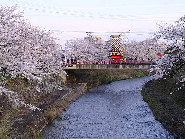 日本‧犬山祭(下)‧遊行與夜車山(Inuyama Matsu 日本‧犬山祭(下)‧遊行與夜車山(Inuyama Matsu