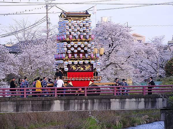 日本‧犬山祭(下)‧遊行與夜車山(Inuyama Matsu 日本‧犬山祭(下)‧遊行與夜車山(Inuyama Matsu