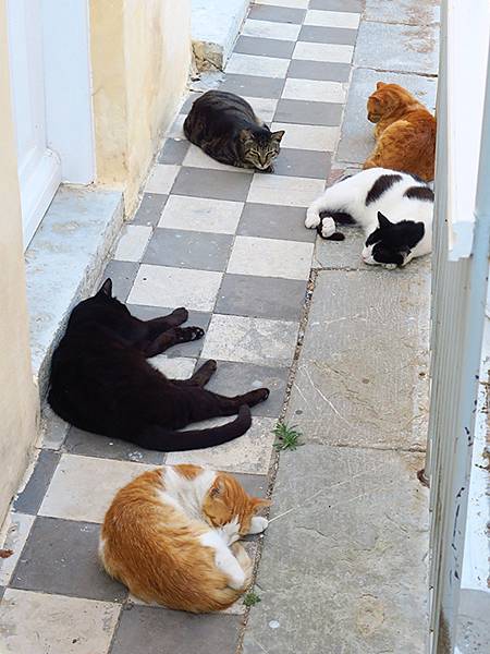 希臘跳島(四十七)‧錫米島(上)‧主鎮和佩迪(Symi I) 希臘跳島(四十七)‧錫米島(上)‧主鎮和佩迪(Symi I)