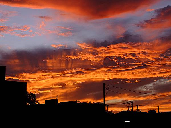 東京近郊(二十七)‧千葉市(Chiba)
