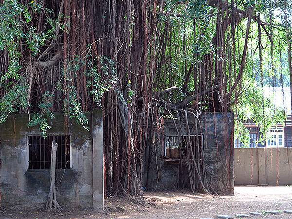 台灣‧台南(六十六)‧設計展(下)‧321巷藝術聚落和其他( 台灣‧台南(六十六)‧設計展(下)‧321巷藝術聚落和其他(