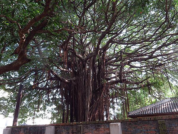 台灣‧台南(六十六)‧設計展(下)‧321巷藝術聚落和其他( 台灣‧台南(六十六)‧設計展(下)‧321巷藝術聚落和其他(