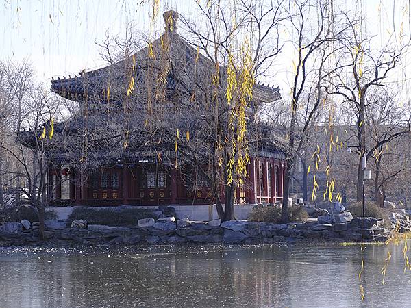 冬遊北京(十四)‧圓明園的冰、蘆葦、野鳥(Yuanmingy 冬遊北京(十四)‧圓明園的冰、蘆葦、野鳥(Yuanmingy