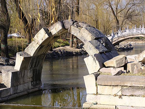 冬遊北京(十四)‧圓明園的冰、蘆葦、野鳥(Yuanmingy 冬遊北京(十四)‧圓明園的冰、蘆葦、野鳥(Yuanmingy