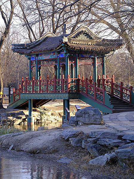 冬遊北京(十四)‧圓明園的冰、蘆葦、野鳥(Yuanmingy 冬遊北京(十四)‧圓明園的冰、蘆葦、野鳥(Yuanmingy