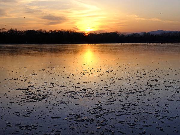 冬遊北京(十四)‧圓明園的冰、蘆葦、野鳥(Yuanmingy 冬遊北京(十四)‧圓明園的冰、蘆葦、野鳥(Yuanmingy
