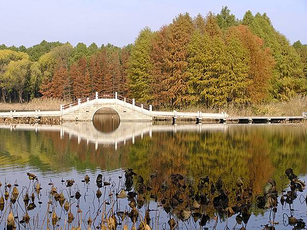 中國‧蘇州‧虎丘濕地(Huqiu Wetland Park)