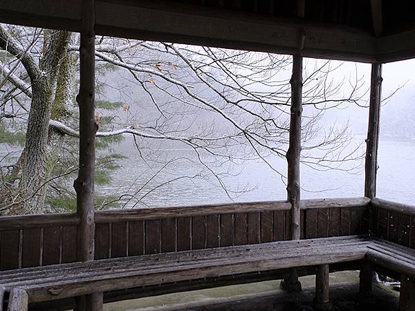 關西賞雪(八)‧寶之池賞鳥(Kansai Snow VIII