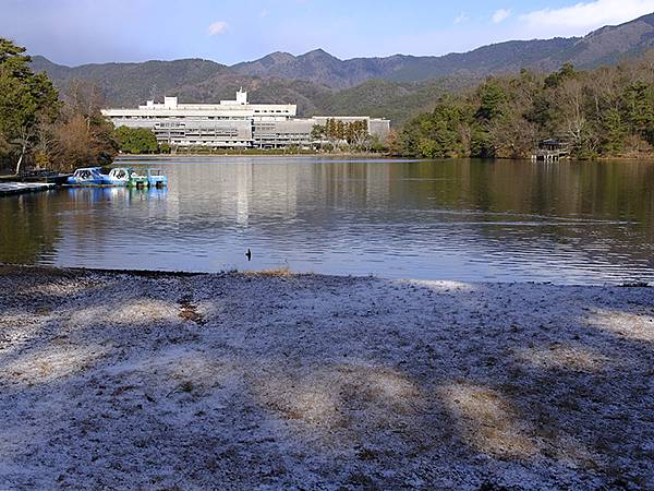 關西賞雪(八)‧寶之池賞鳥(Kansai Snow VIII