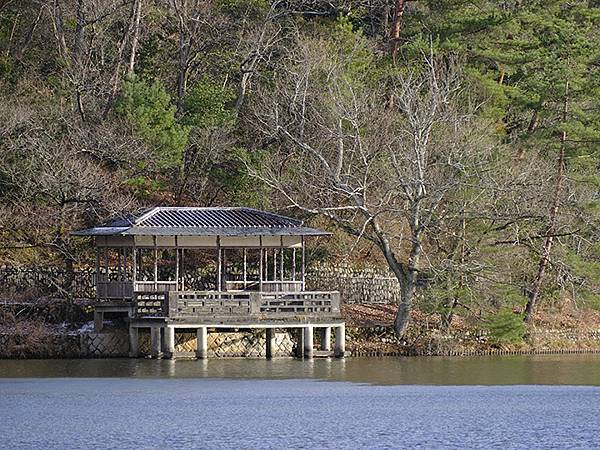 關西賞雪(八)‧寶之池賞鳥(Kansai Snow VIII