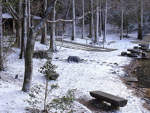 關西賞雪(八)‧寶之池賞鳥(Kansai Snow VIII