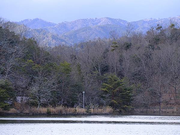 關西賞雪(八)‧寶之池賞鳥(Kansai Snow VIII