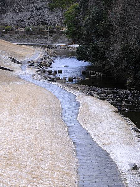 關西賞雪(八)‧寶之池賞鳥(Kansai Snow VIII