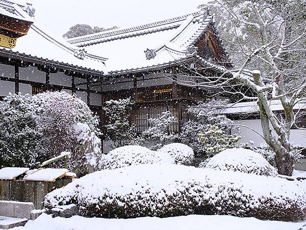 關西賞雪(九)‧伏見稻荷、光明院(Kansai Snow I