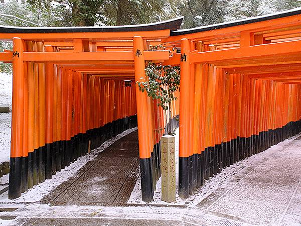 關西賞雪(九)‧伏見稻荷、光明院(Kansai Snow I
