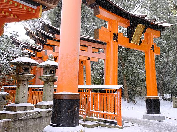 關西賞雪(九)‧伏見稻荷、光明院(Kansai Snow I