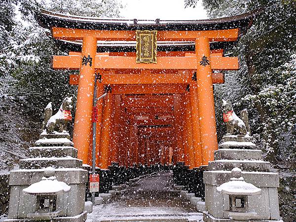 關西賞雪(九)‧伏見稻荷、光明院(Kansai Snow I