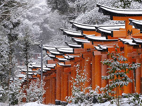 關西賞雪(九)‧伏見稻荷、光明院(Kansai Snow I