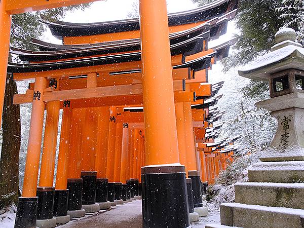 關西賞雪(九)‧伏見稻荷、光明院(Kansai Snow I