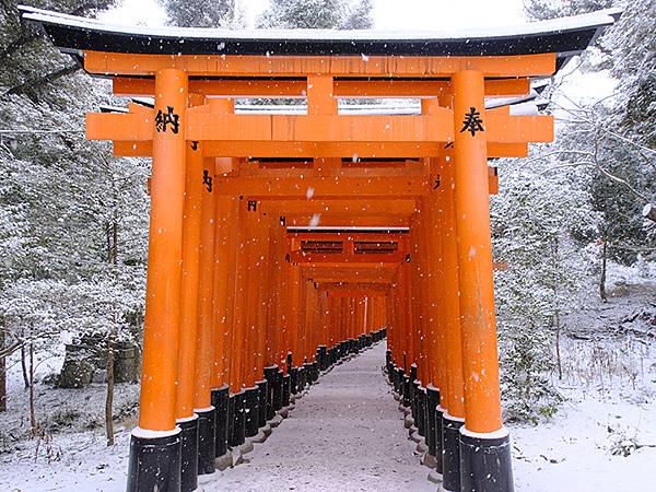 關西賞雪(九)‧伏見稻荷、光明院(Kansai Snow I