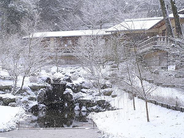 關西賞雪(九)‧伏見稻荷、光明院(Kansai Snow I
