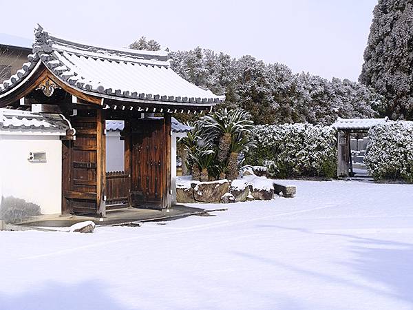 關西賞雪(九)‧伏見稻荷、光明院(Kansai Snow I