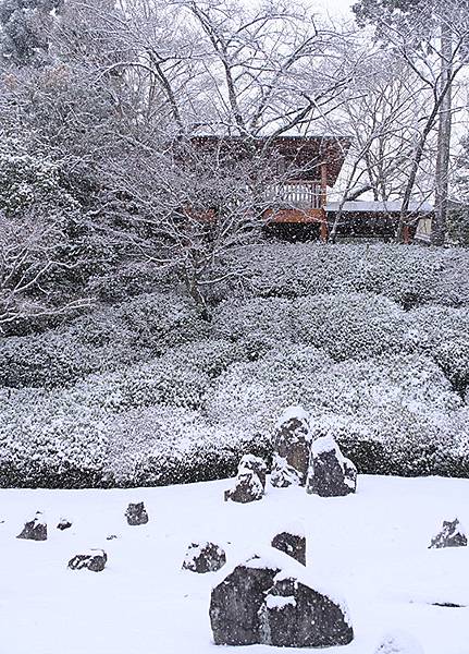 關西賞雪(九)‧伏見稻荷、光明院(Kansai Snow I