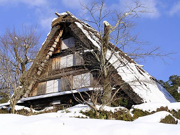 日本‧下呂雪景(下)‧寺廟、神社、合掌屋(Gero Onse