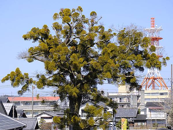 日本‧美濃太田(Mino Ota)