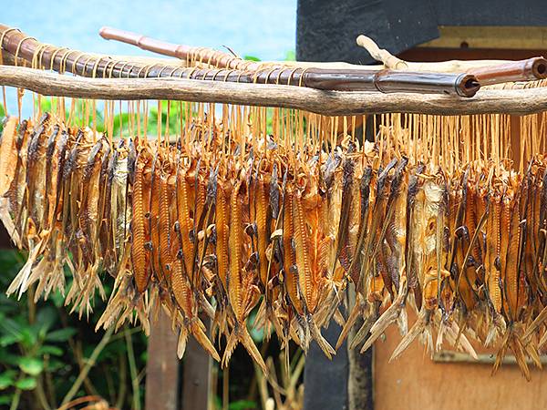 台灣‧蘭嶼(中)‧龍門港到氣象站(Orchid Island