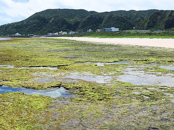 台灣‧綠島(下)‧潮間帶和過山古道生物觀察(Green Is