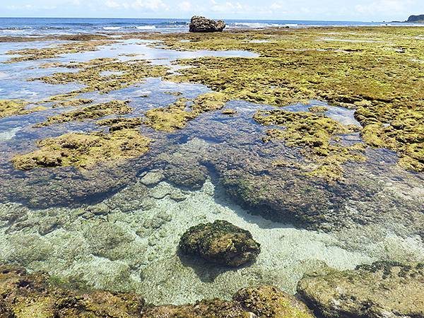 台灣‧綠島(下)‧潮間帶和過山古道生物觀察(Green Is