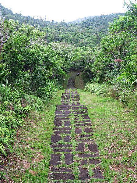 台灣‧綠島(下)‧潮間帶和過山古道生物觀察(Green Is