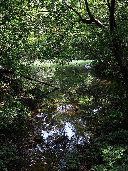 台灣‧基隆(十)‧大武崙山(Dawulun Mt.)