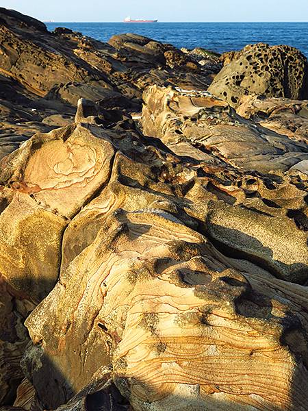 台灣‧基隆(十)‧大武崙山(Dawulun Mt.)