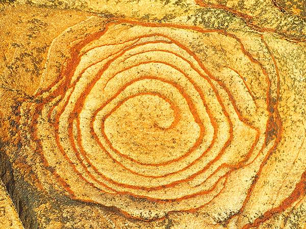 台灣‧基隆(十)‧大武崙山(Dawulun Mt.)