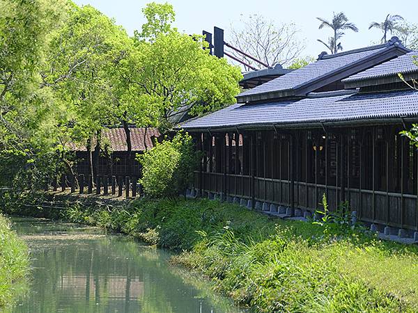台灣‧宜蘭(二十八)‧羅東三月花鳥(Luodong Bird
