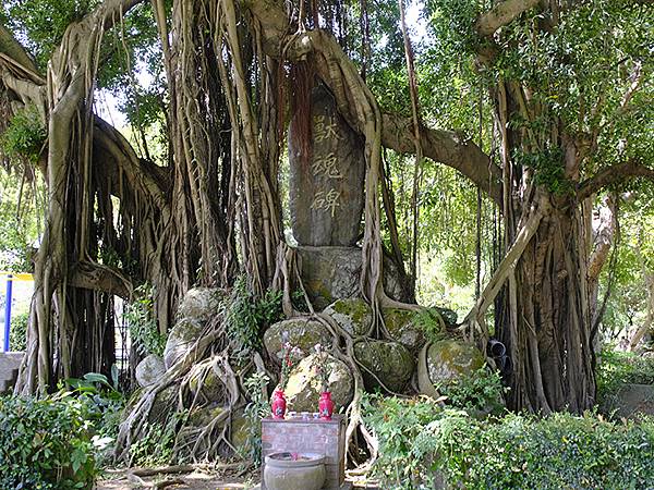 台灣‧嘉義(二十三)‧埤子頭植物園(Beizitou Bot