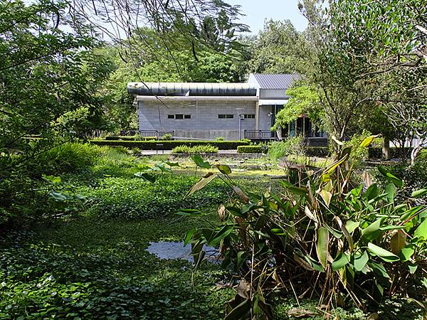 台灣‧嘉義(二十三)‧埤子頭植物園(Beizitou Bot